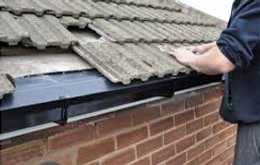 Eave Protection Systems by Archie Repairs